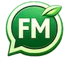 FM whatsapp